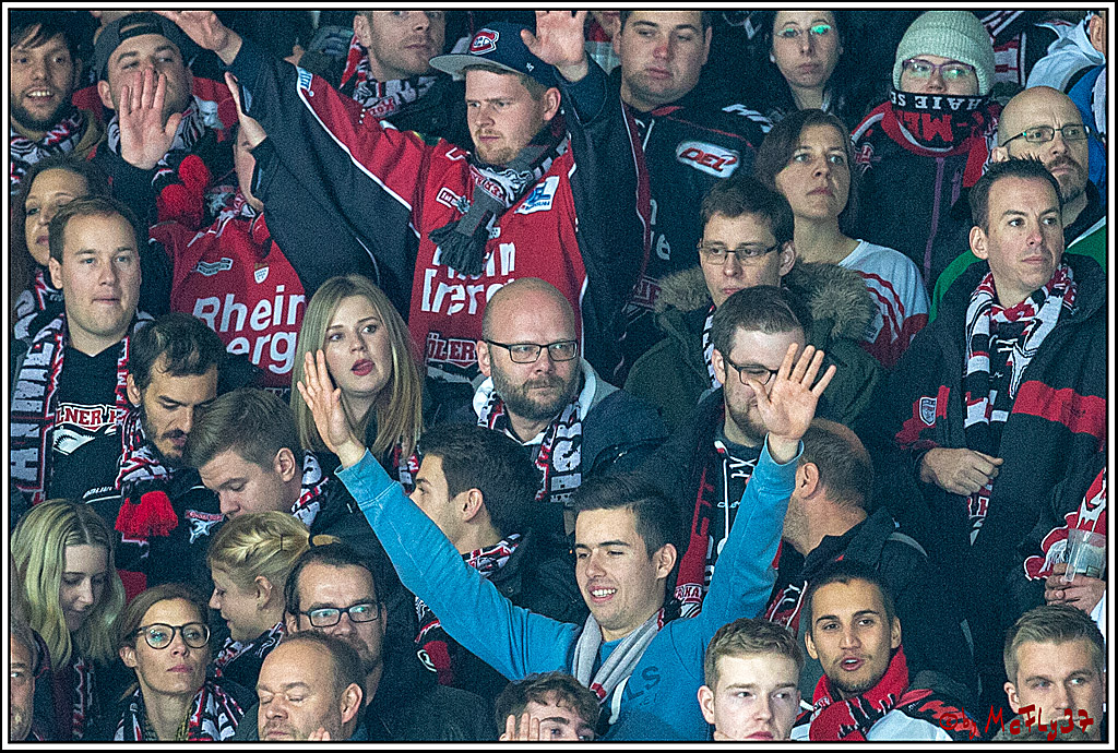 DEL; Iserlohn Roosters - Koelner Haie, 23.11.2018